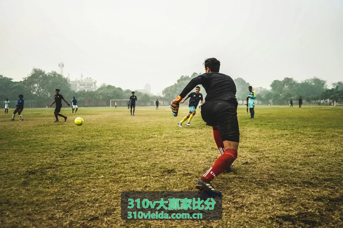 310v大赢家比分足球比分趋势分析